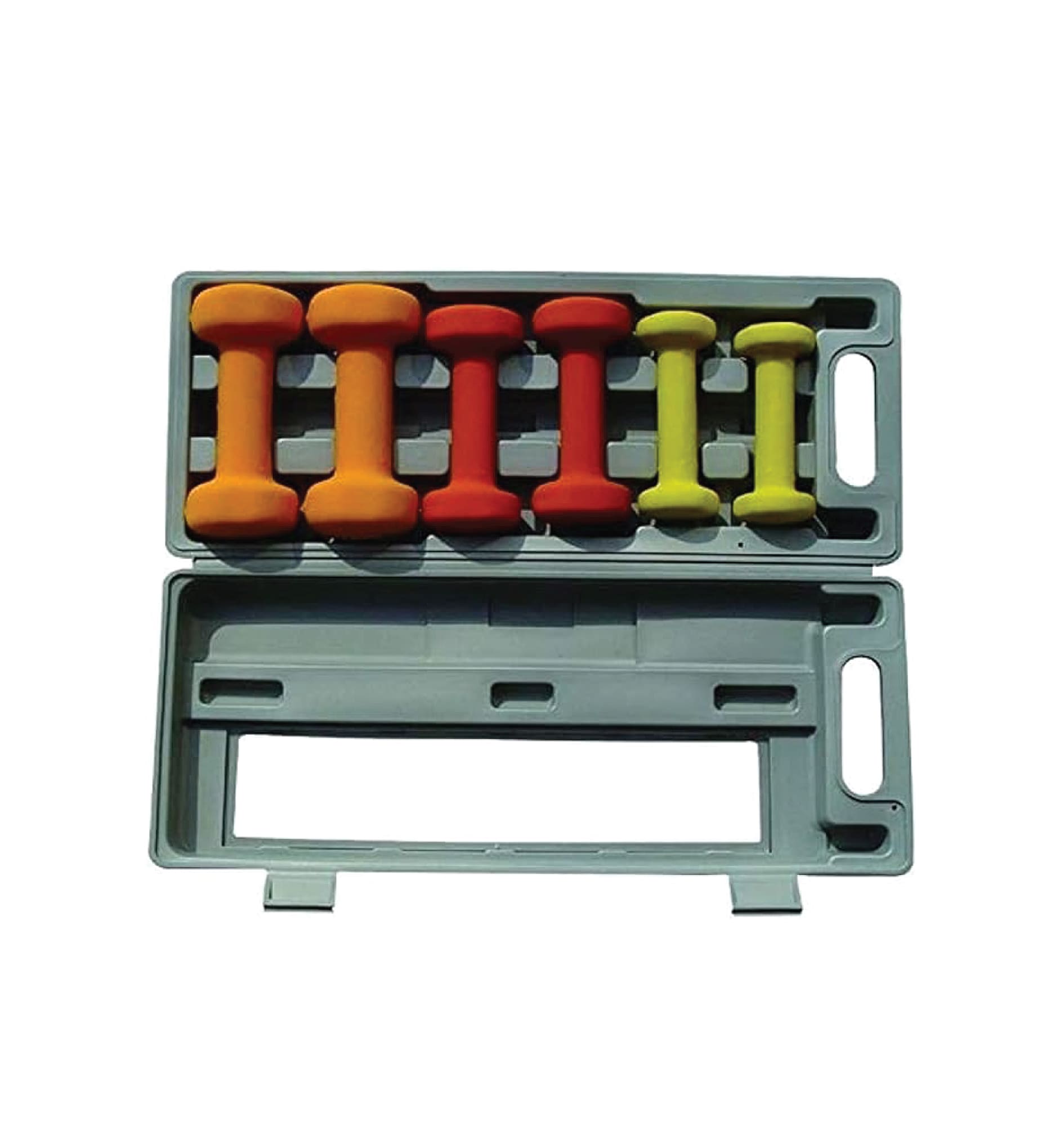 Pro Solid Neoprene 6kg Dumbbell Set with ABS Box+