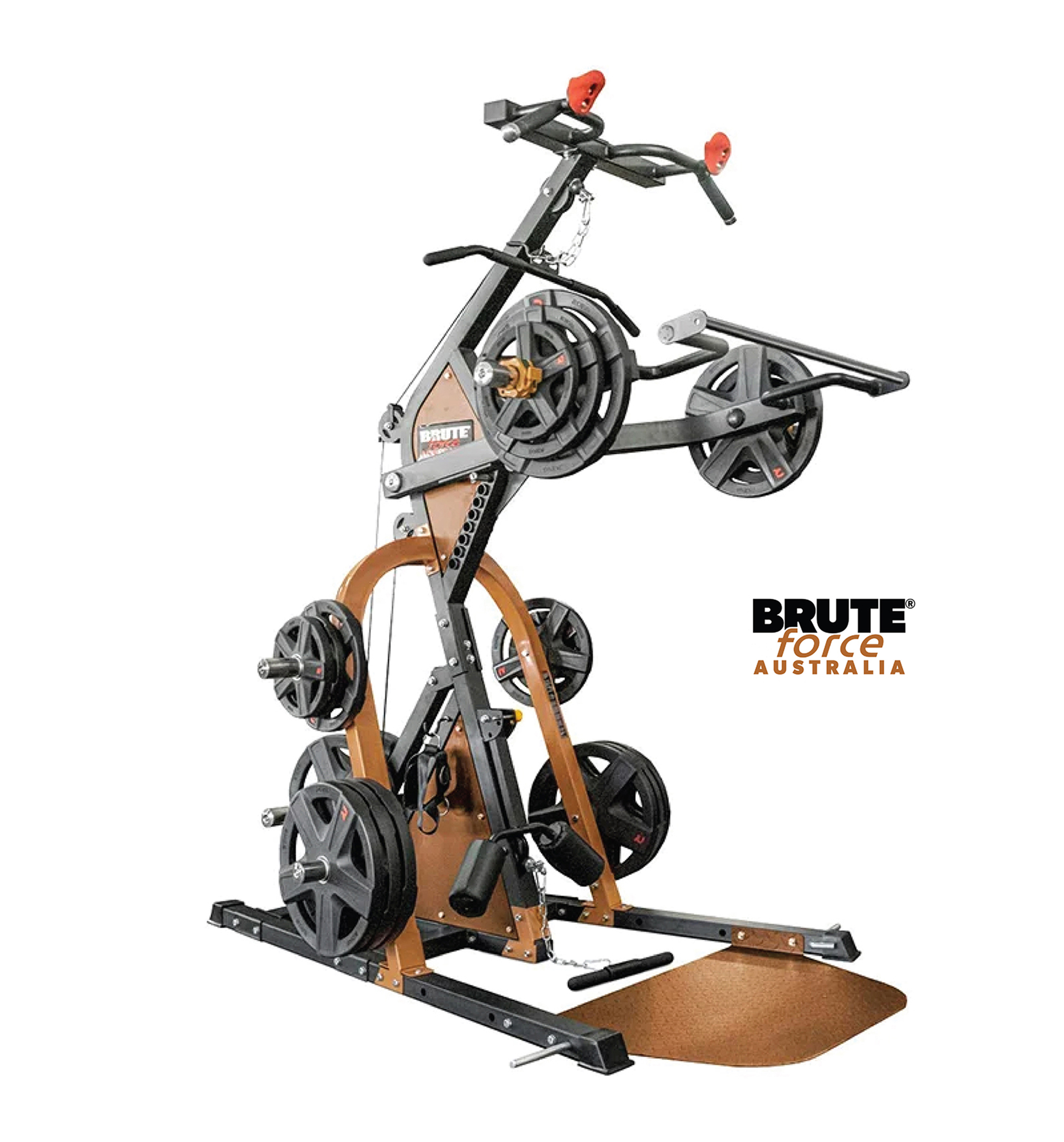 BRUTE FORCE RAPT LEVERAGE